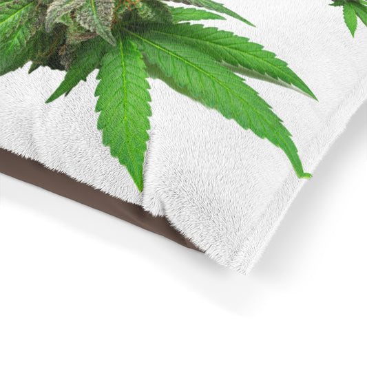 Semplicemente Cannabis Pet Bed