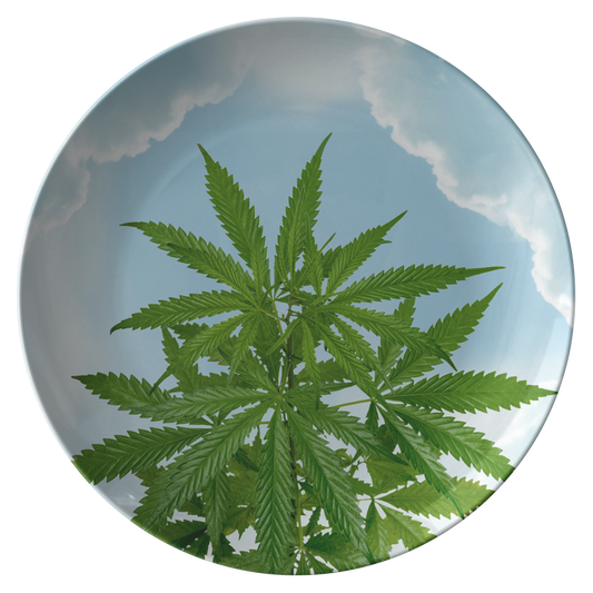 Cannabis Tra Le Nuvole Plate