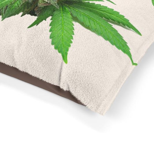 Semplicemente Cannabis Pet Bed
