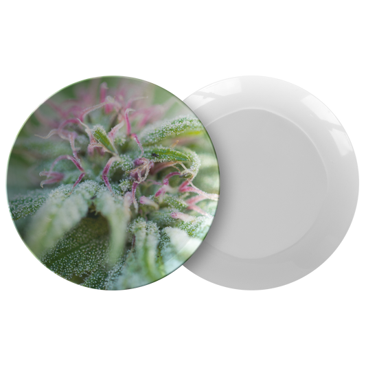 Blooming With Purple Cannabis Plate