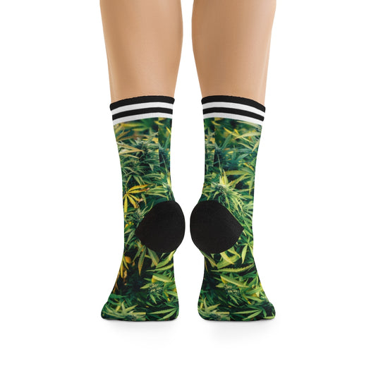 Fresco Cannabis Socks