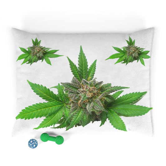 Semplicemente Cannabis Pet Bed