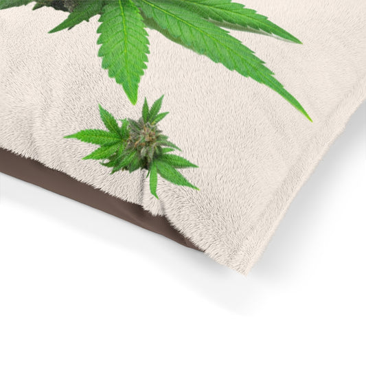 Semplicemente Cannabis Pet Bed