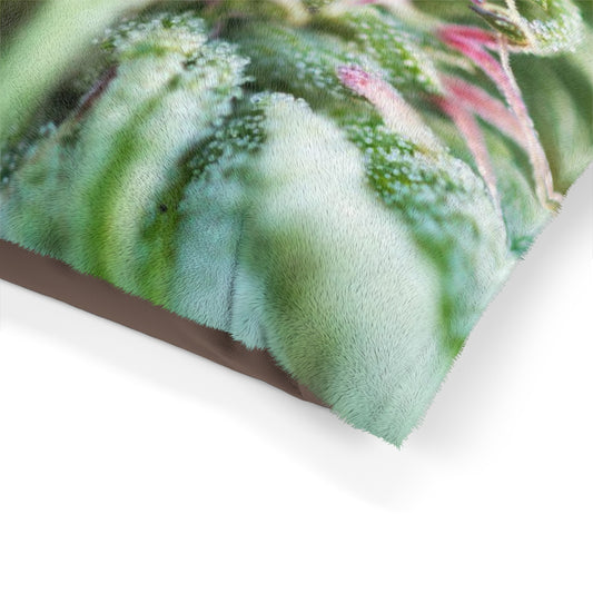 Blooming with Purple Cannabis Pet Bed