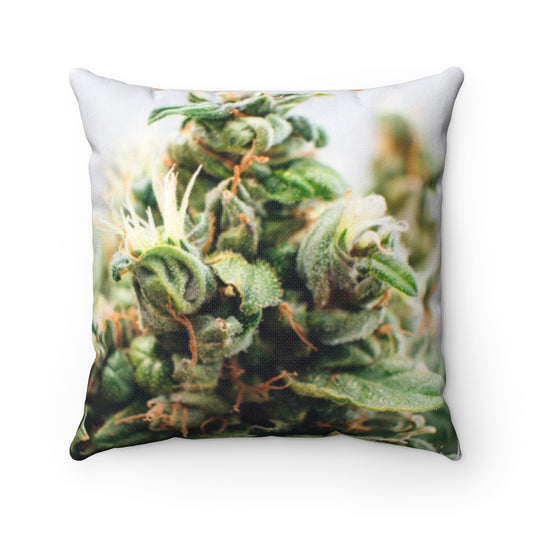 CannaBloom Cannabis Polyester Square Pillow