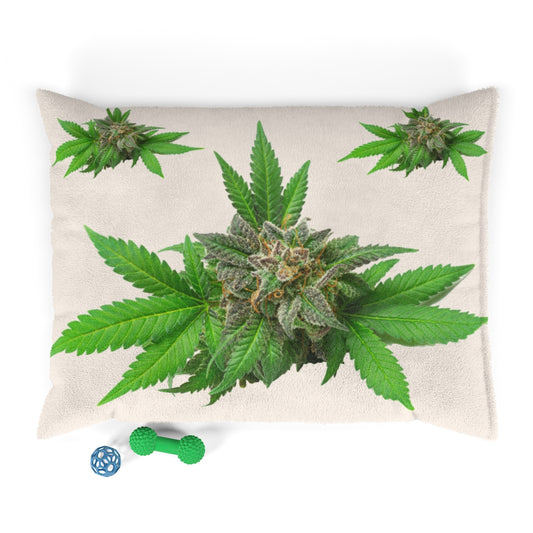Semplicemente Cannabis Pet Bed