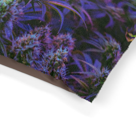 The Purple Cannabis Pet Bed