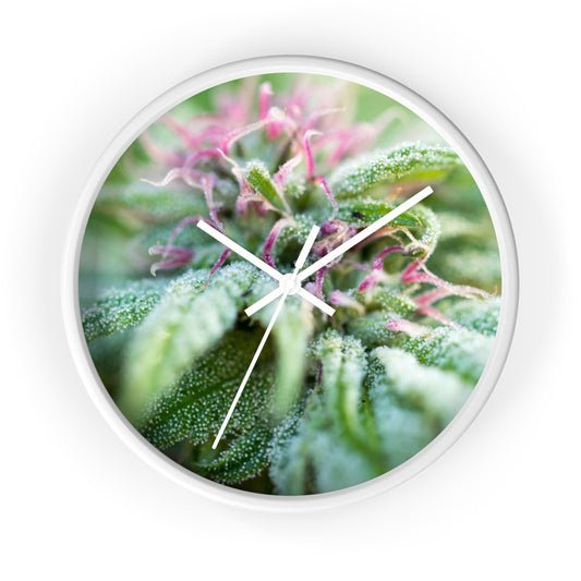 Blooming With Purple Cannabis Wall Clock