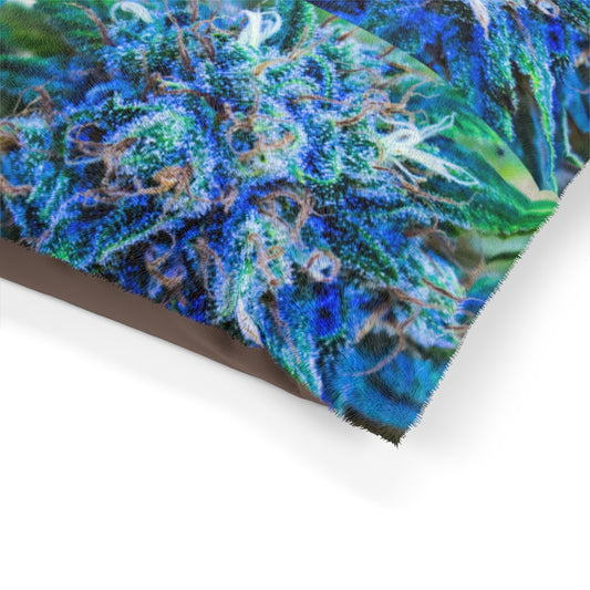 Catturare La Mia Attenzione Cannabis Pet Bed