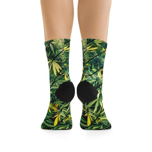 Cannabis Fresca Socks