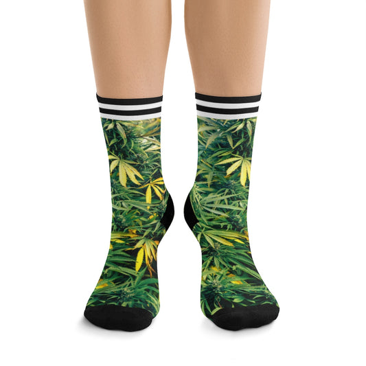 Fresco Cannabis Socks