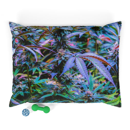 The Rainbow Cannabis Pet Bed