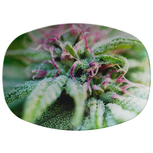 Blooming With Purple Cannabis Platter