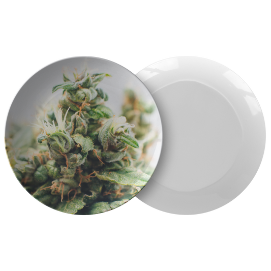 CannaBloom Cannabis Plate