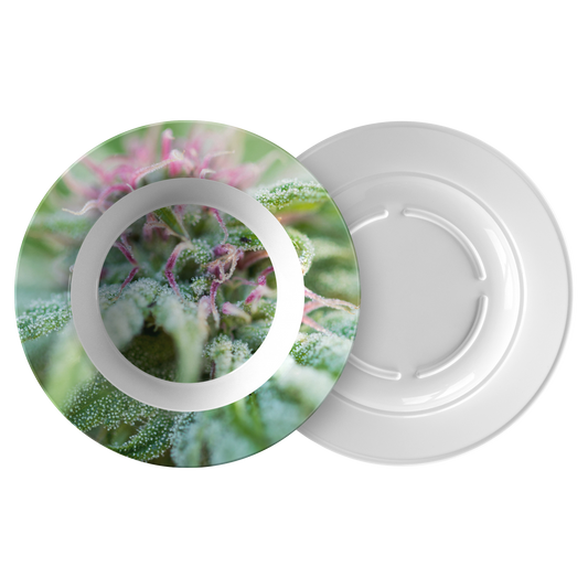 Blooming With Purple Cannabis Bowl