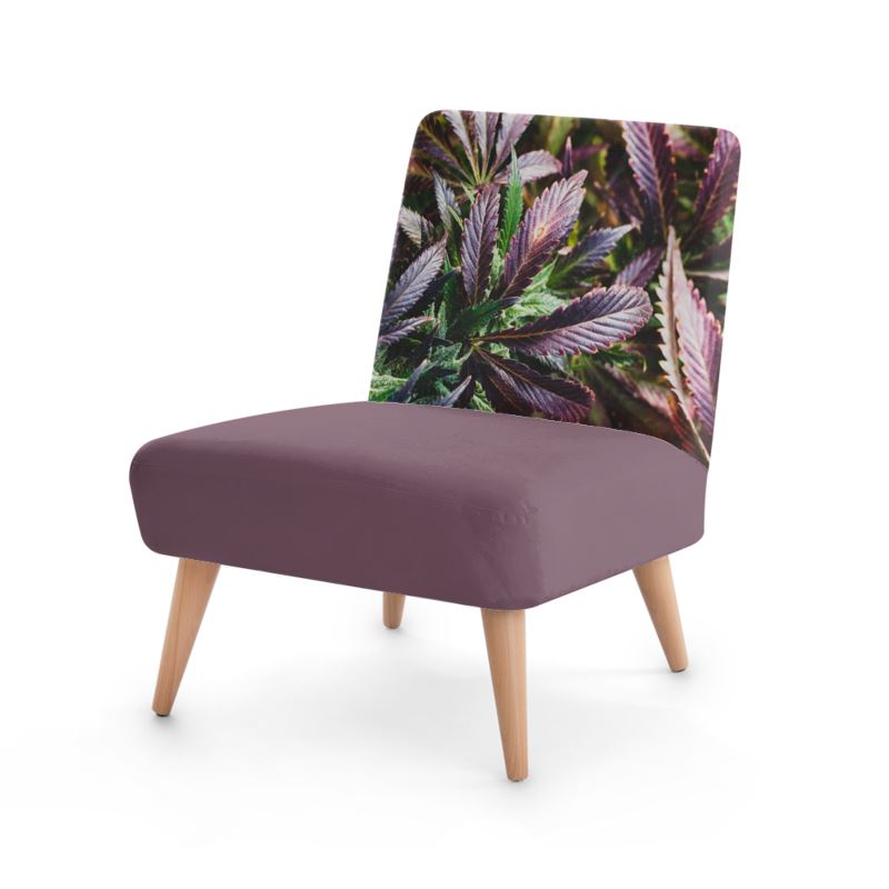 September News Letter/Elevate Your Cannabis Lifestyle