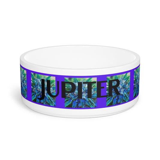 Customizable Catturare La Mia Attenzione Pet Bowl