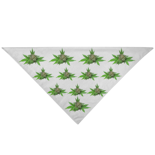 Semplicemente Cannabis Pet Bandana