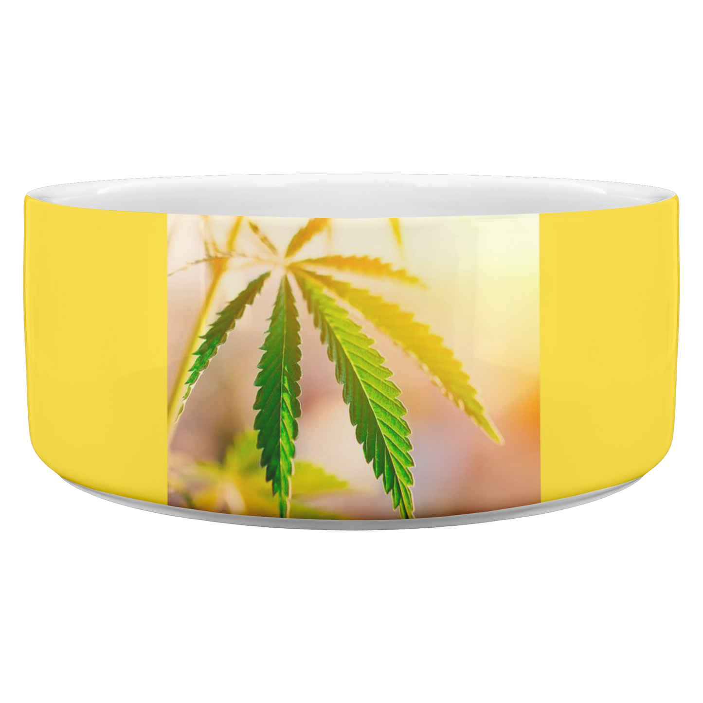 Sunrise Sunset Cannabis Pet Bowl