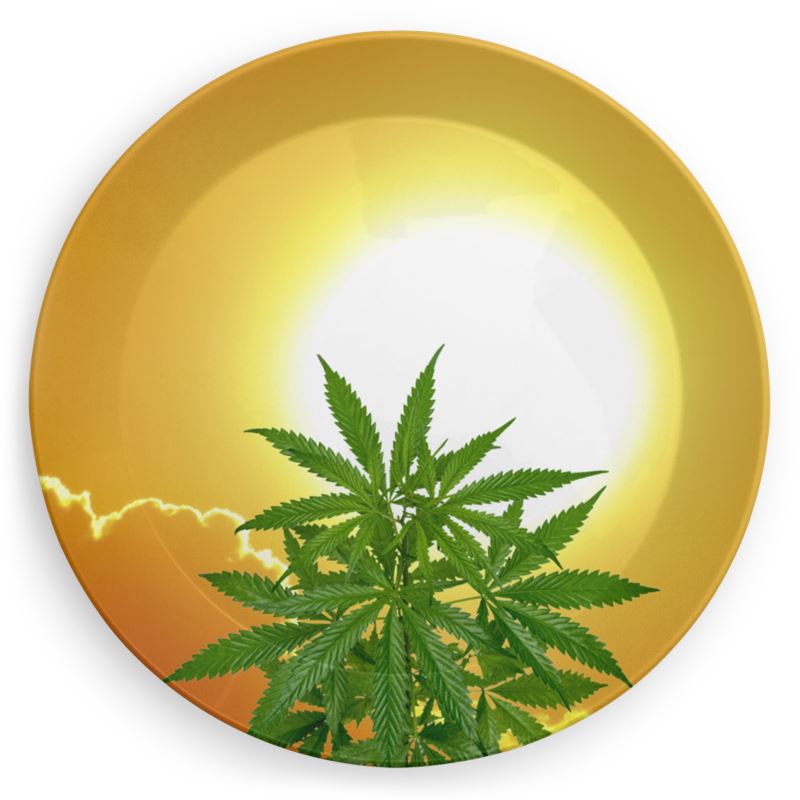 Cannabis Plate
