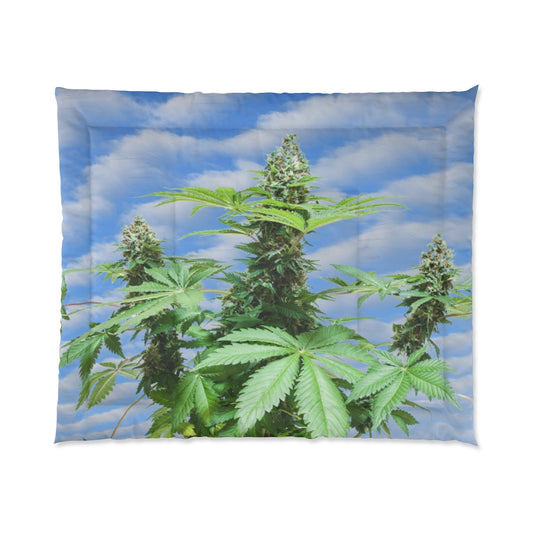 Sono Bella Cannabis Comforter