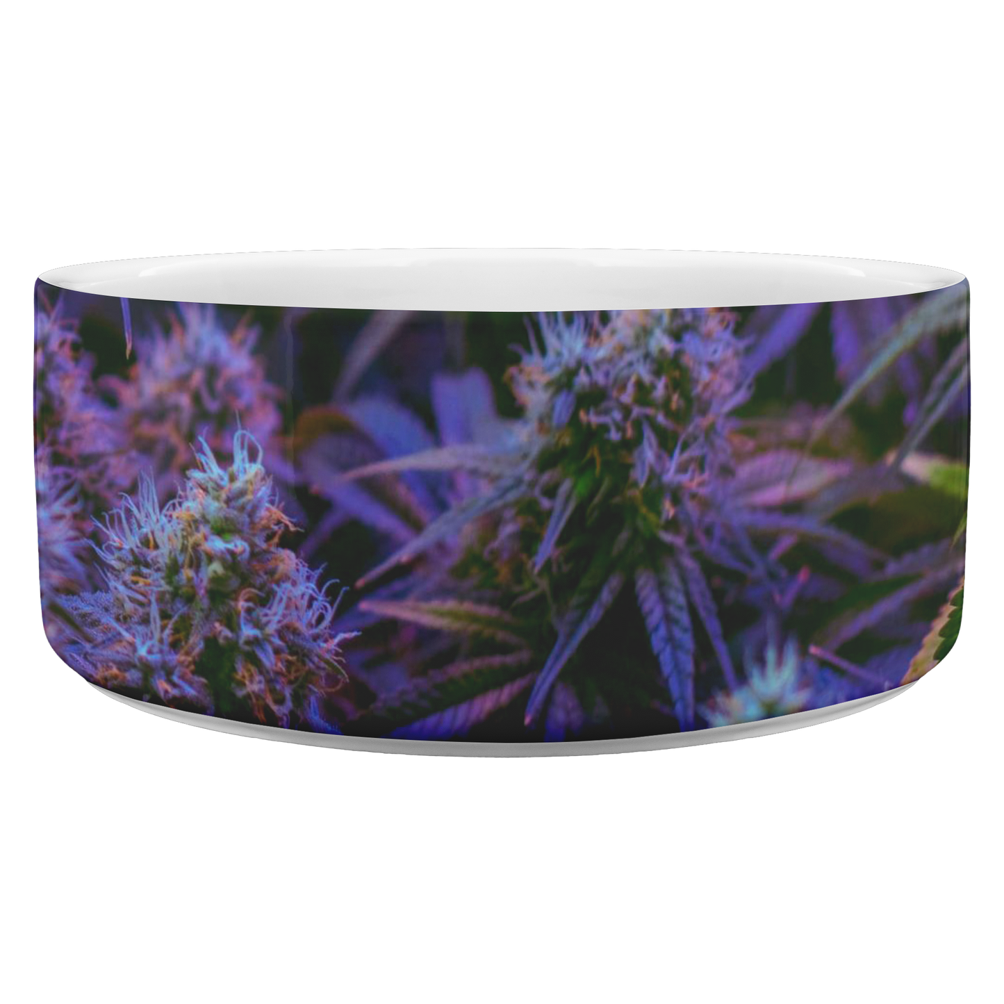 The Purple Cannabis Pet Bowl