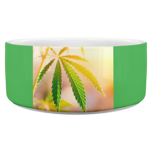Sunrise Sunset Cannabis Pet Bowl