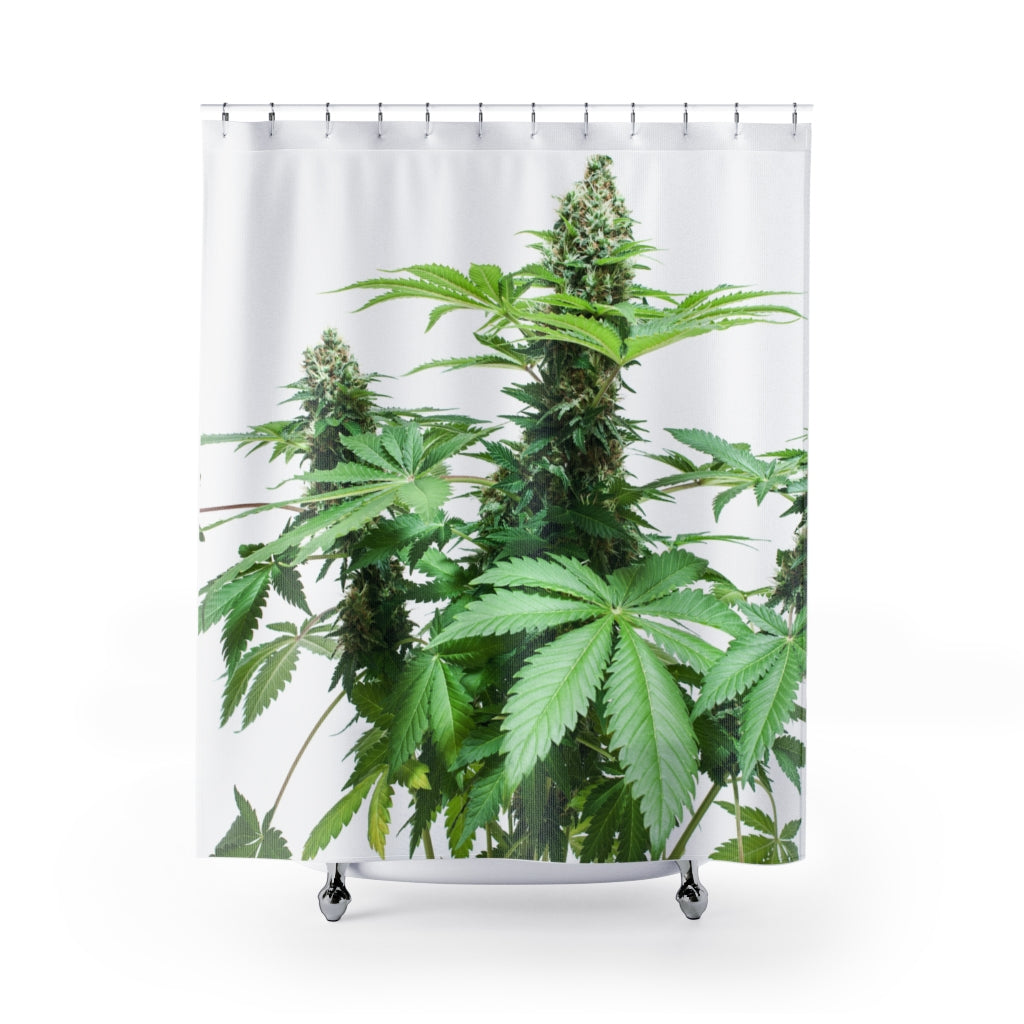 Sono Bella Cannabis Shower Curtain