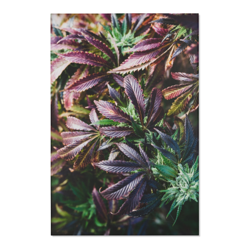 My Cannabis Garden Area Rugs