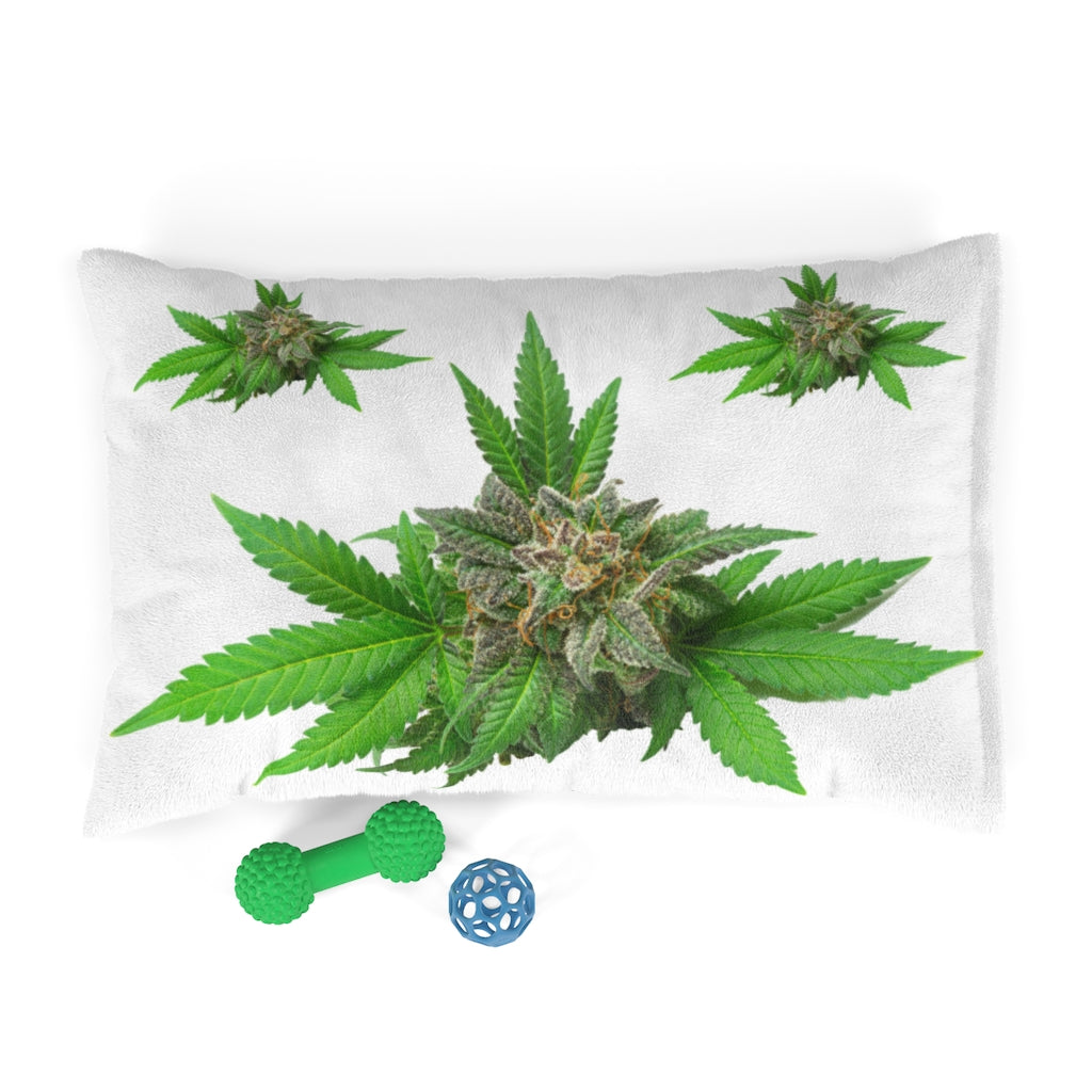 Semplicemente Cannabis Pet Bed
