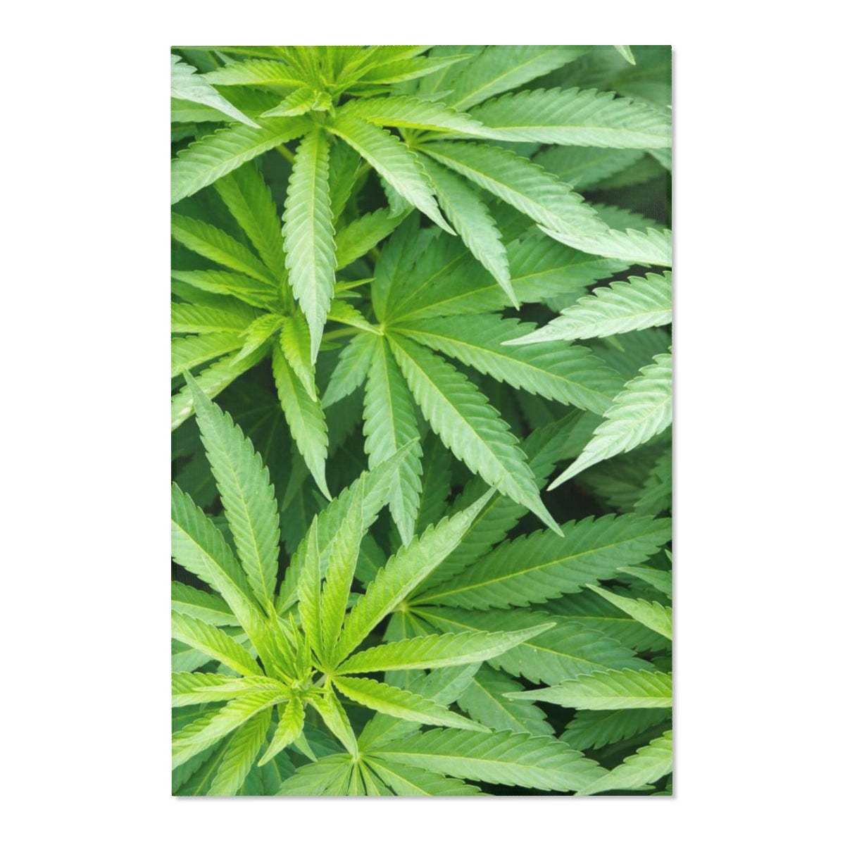 That Green Cannabis Area Rugs