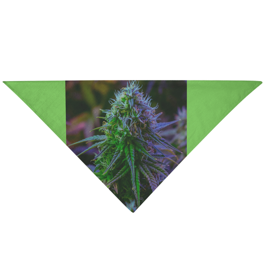 The Purple Cannabis Pet Bandana