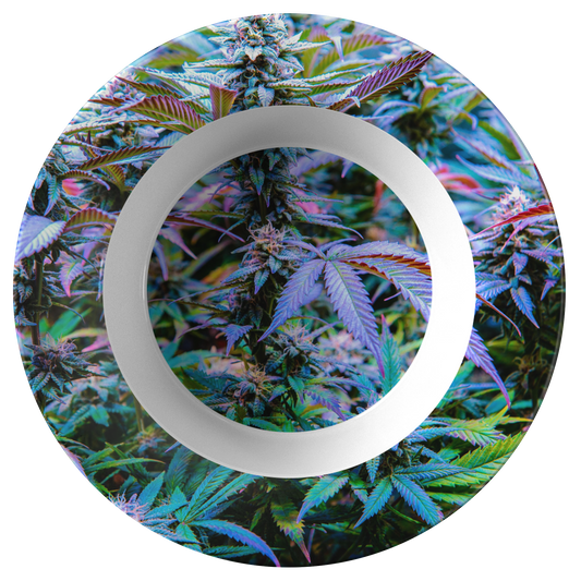 The Rainbow Cannabis Bowl