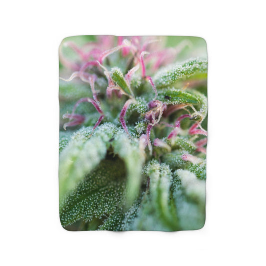 Blooming With Purple Cannabis Sherpa Fleece Blanket