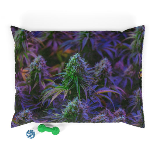 The Purple Cannabis Pet Bed
