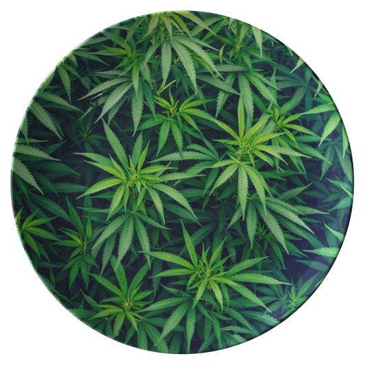 My Cannabis Plate