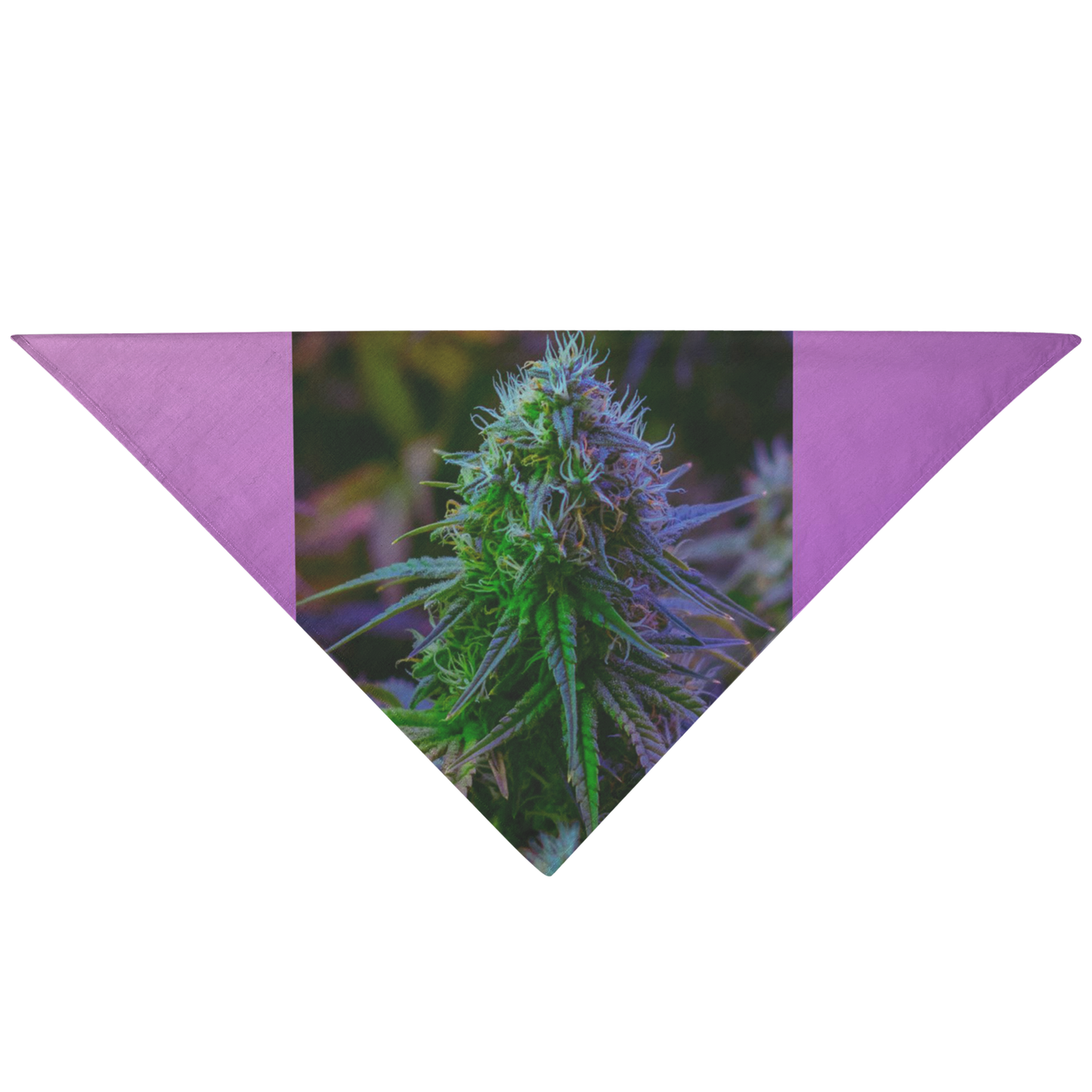 The Purple Cannabis Pet Bandana