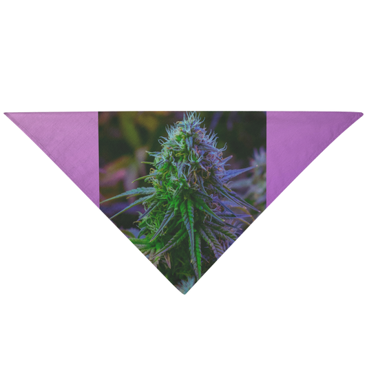 The Purple Cannabis Pet Bandana