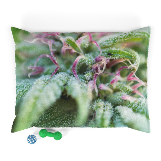 Blooming with Purple Cannabis Pet Bed