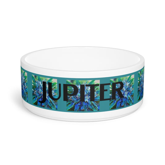Customiazble Catturare La Mia Attenzione Pet Bowl