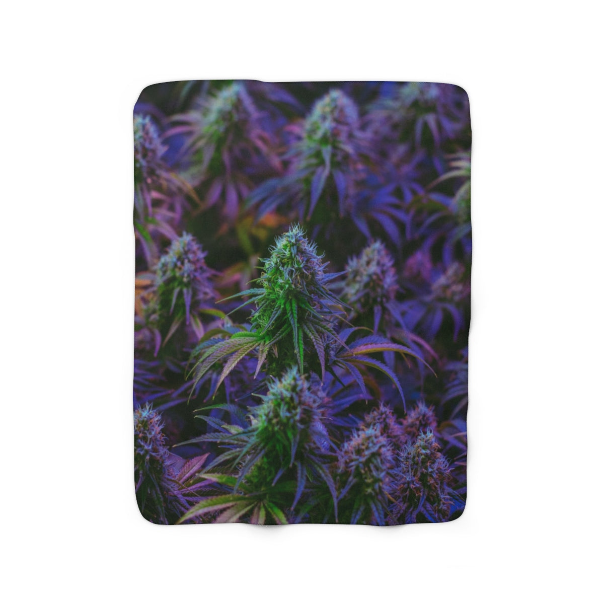 The Purple Cannabis Sherpa Fleece Blanket