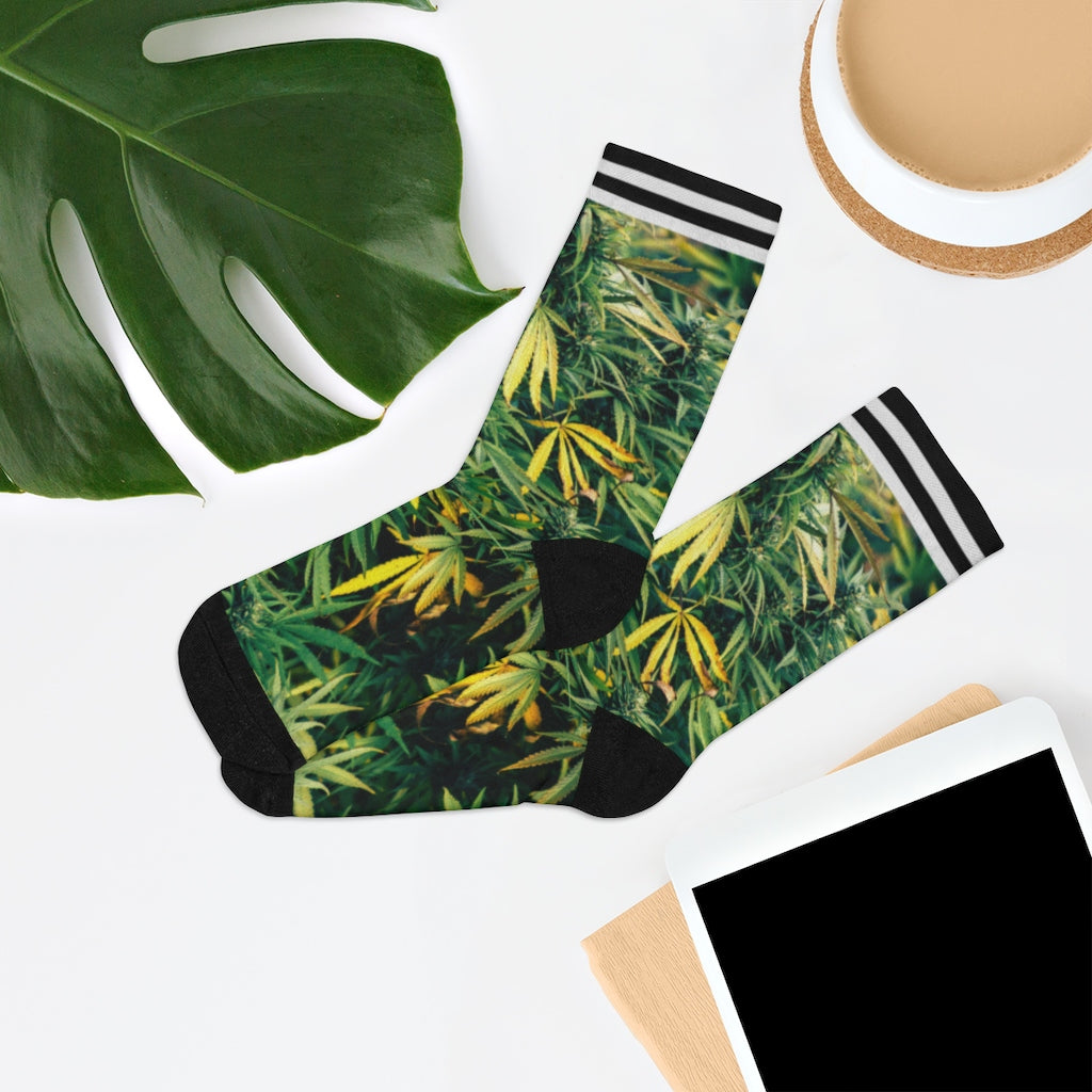 Fresco Cannabis Socks