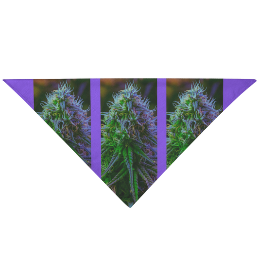 The Purple Cannabis Pet Bandana