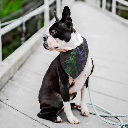 The Purple Cannabis Pet Bandana