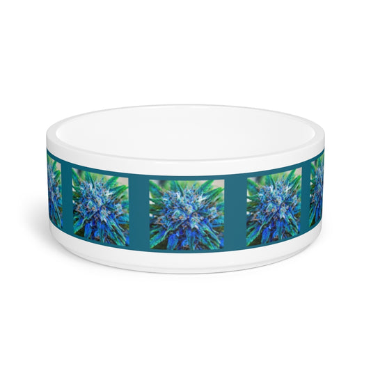 Catturare La Mia Attenzione Pet Bowl