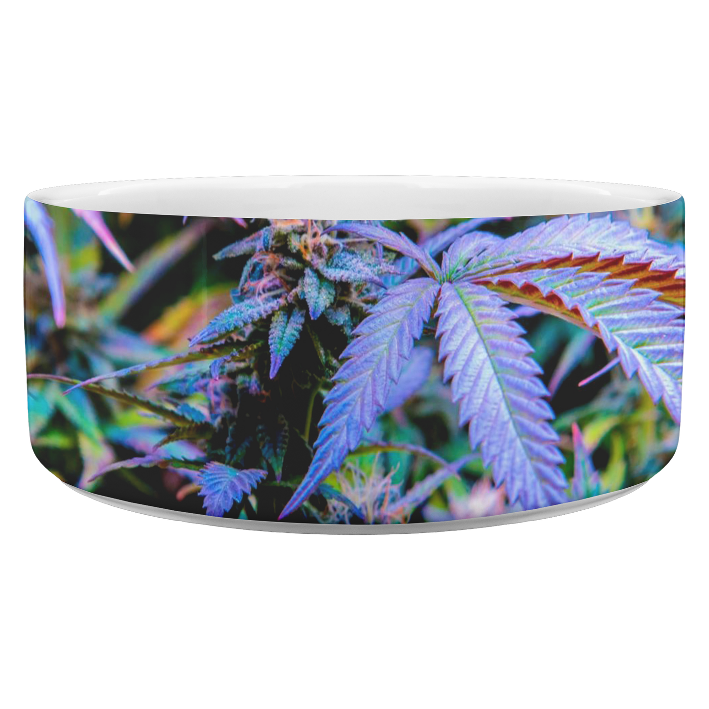 The Rainbow Cannabis Pet Bowl