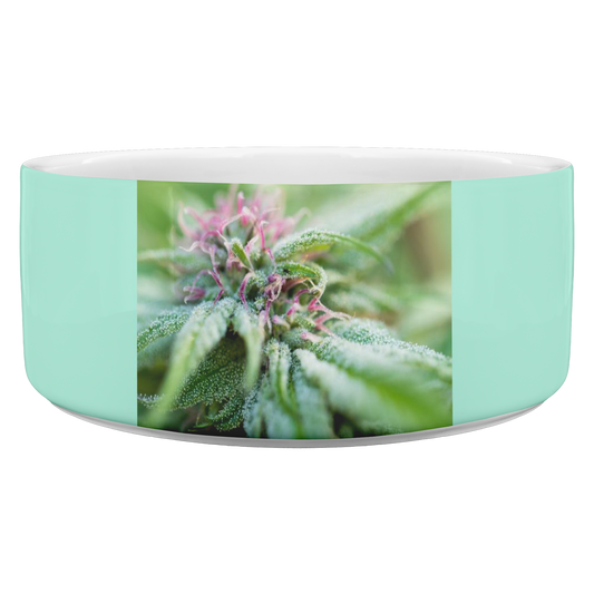 Blooming With Purple Cannabis Pet Bowl