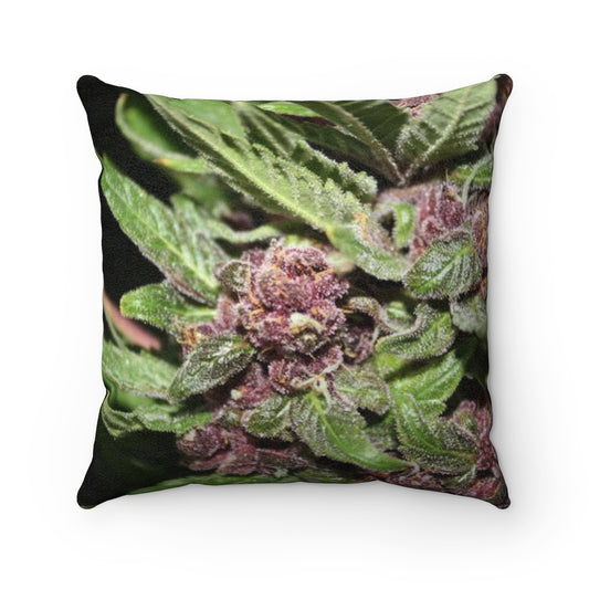 Cannabis Bud Faux Suede Square Pillow