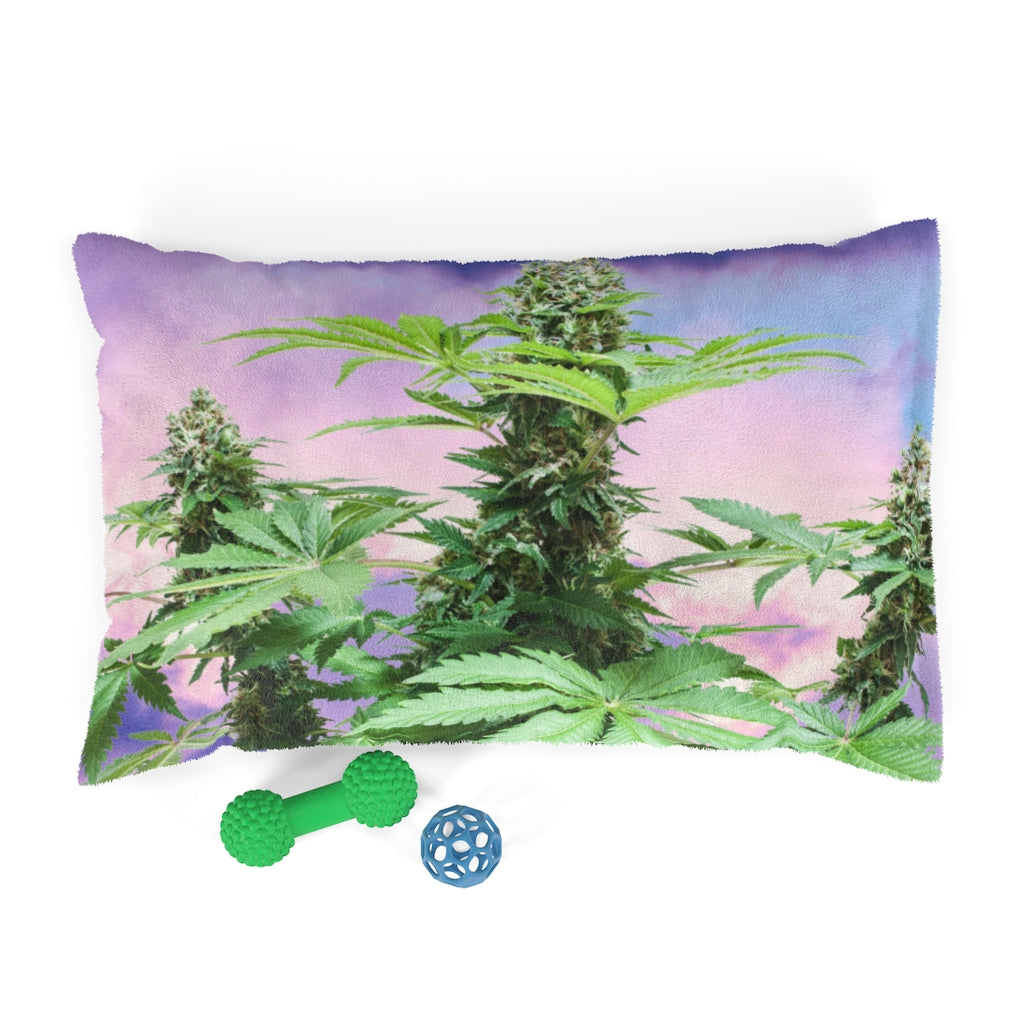To The Sky Cannabis Pet Bed