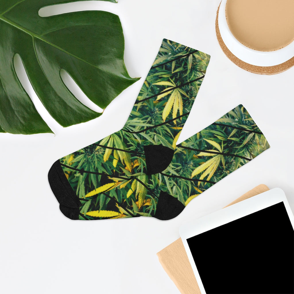 Cannabis Fresca Socks